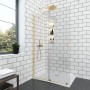 Параван за баня Walk-In ELGIO Brushed Gold