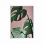Картина в рамка PL/MDF Растение 2 - 50/70