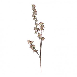 Prunus - розова клонка 105 см