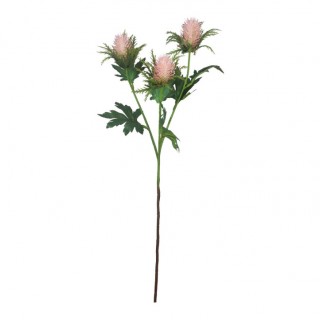 Dipsacus в розово-кафяв нюанс 67 см
