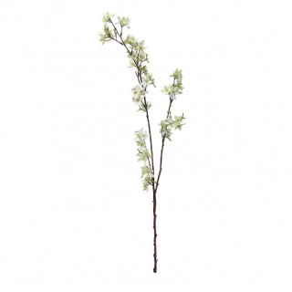Prunus - бяла клонка 105 см